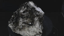 Load and play video in Gallery viewer, Smoky Quartz Crystal Cluster (Large) 16in x 9in x 6in - SN AM000034
