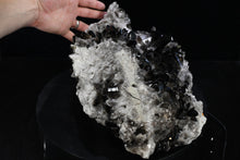 Load image into Gallery viewer, Smoky Quartz Crystal Cluster (Large) 16in x 9in x 6in - SN AM000034
