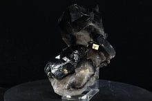 Load image into Gallery viewer, Smoky Quartz Crystal Cluster (Medium) 10in x 5in x 4in - SN AM000058
