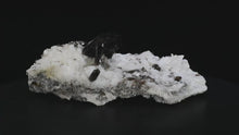 Load and play video in Gallery viewer, Smoky Quartz Crystal Cluster with Adularia (Medium) 8in x 4.5in x 3in - SN AM000028
